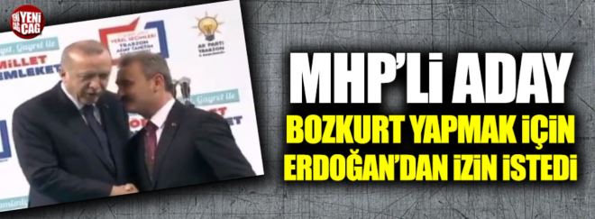 mhp li Erdoğancı